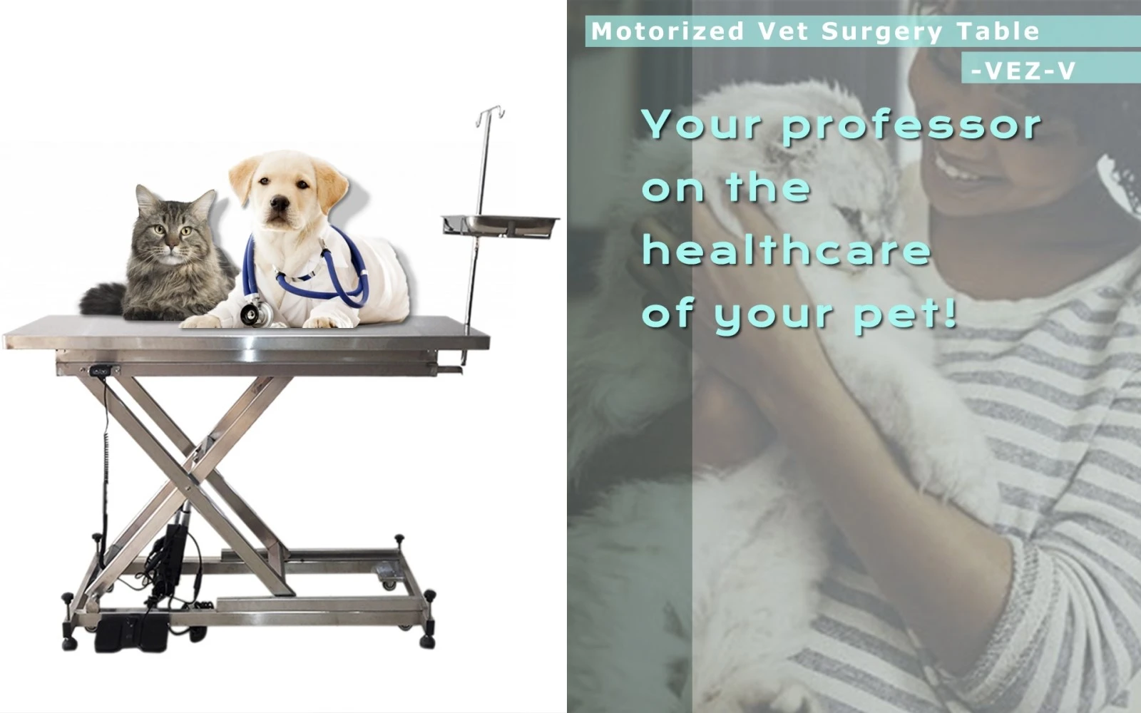 product-1600-450 electricvettable