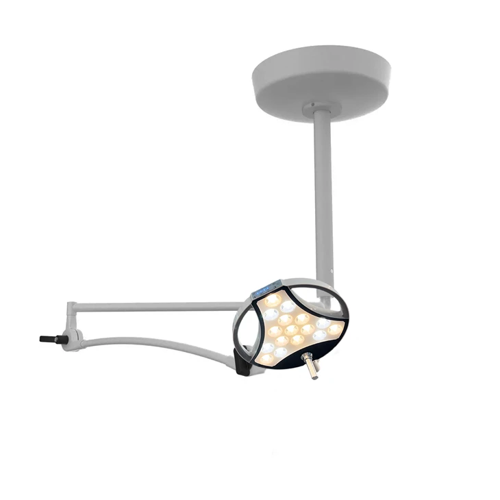 Portable LED Examination Light