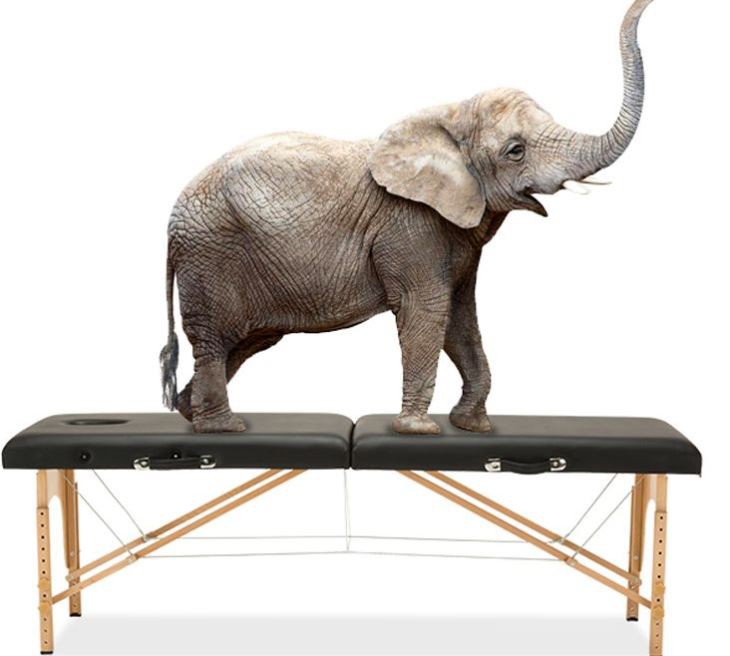 Examination Couch