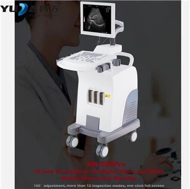 Medical Black And White 4D Ultrasound