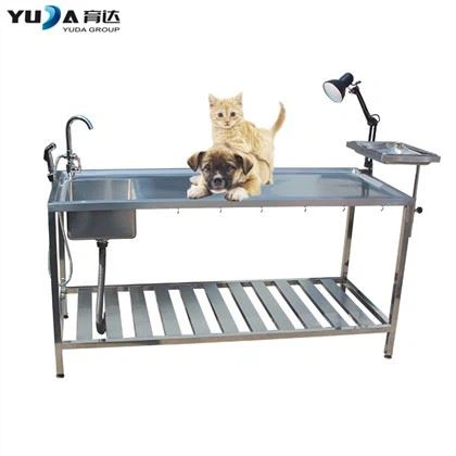 Veterinary Exam Table